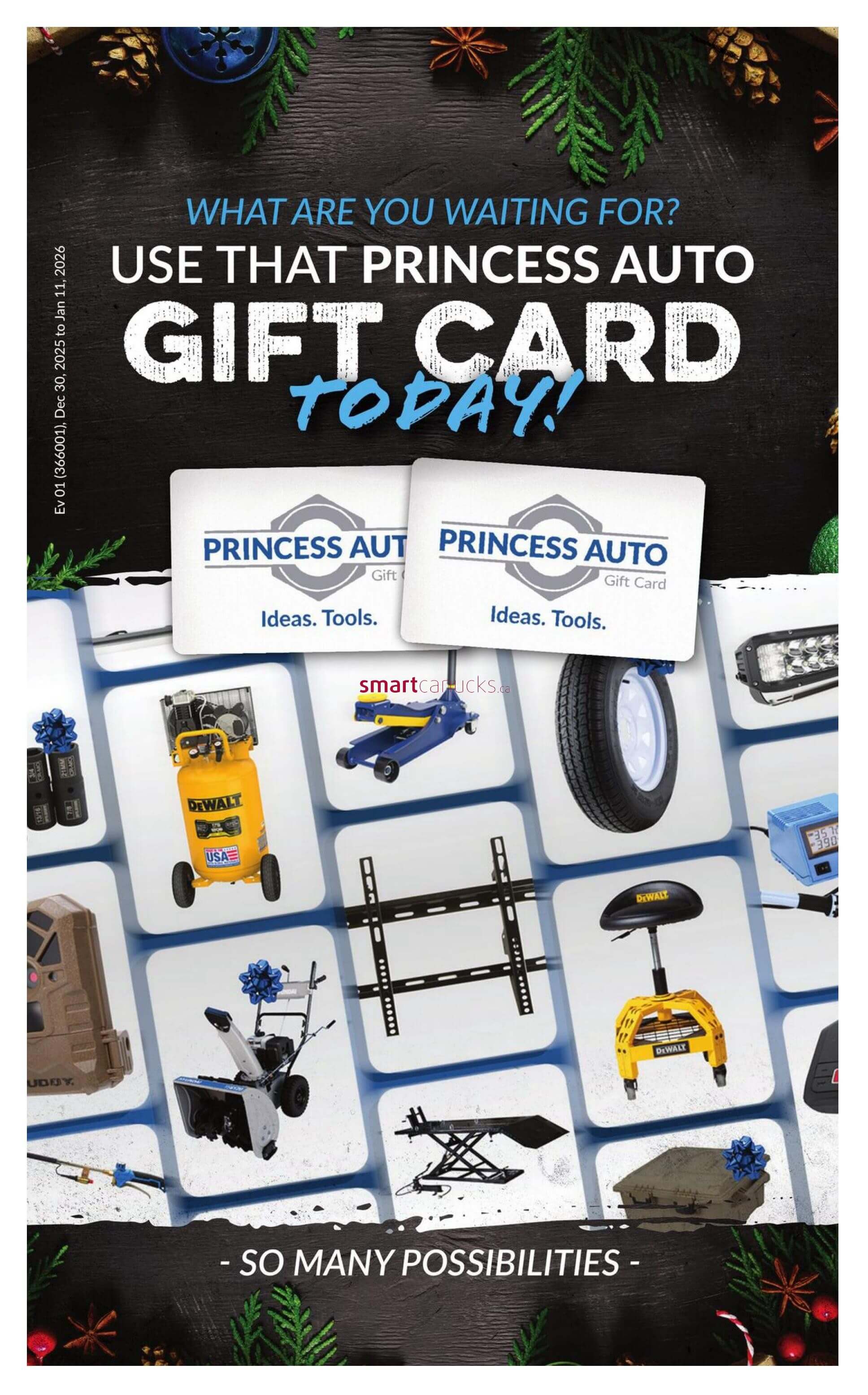 Goflyer - Princess Auto